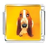 Animal Photo Basset Hound Dog Italian Charms Bracelet Link