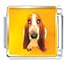Basset Hound Dog Photo Italian Charms