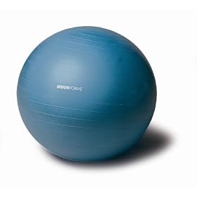 Obusforme by Homedics Home Therapy Rehab Exercise Equipment (65cm Balance Ball)