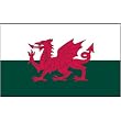 Wales Flag 3ft x 5ft Superknit polyester