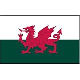 Wales Flag 3ft x 5ft Superknit polyester