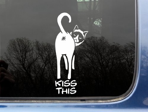 Cat says KISS THIS (4