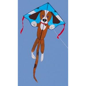 Large Easy Flyer