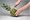 Vacu Vin Stainless-Steel Pineapple Easy Slicer