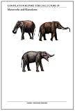 Compilation report For Collectors Of Mammoths and Mastodons