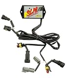 Accel SLM03 SLM Fuel Injection Module for Harley Davidson