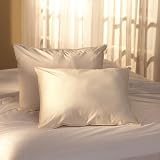Natural Living® 300 Sateen Ingeo Fiber Fill Pillow, King