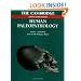 The Cambridge Encyclopedia of Human Paleopathology