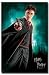 Black Mylar Framed Movie Poster Harry Potter and The Half Blood Prince Daniel Radcliffe 22x34