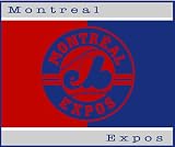 Montreal Expos MLB Diamond Fleece Collection Throw