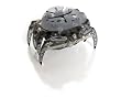 Innovation First Labs, Inc. Hexbug Crab (Colors May Vary)