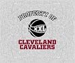 Blanket/Throw 58x48 Property of Cleveland Cavaliers - NBA Basketball Team Fan Shop