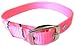 Hamilton 5/8-Inch by 18-Inch Single Thick Nylon Deluxe Dog Collar, Hot Pink