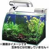 ���i�̏ڍ�