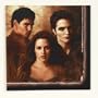 The Twilight Saga: New Moon Beverage Napkins (16) Party Supplies