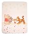 Baby : Julius Zöllner 9610010003 - Baby Pooh and Friends Kuscheldecke bedruckt, 75x90 cm