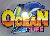 Ocean Life Toy Playset Shark Dolphin Orca Shells Bucket Sand More