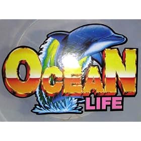 Ocean Life Toy Playset Shark Dolphin Orca Shells Bucket Sand More