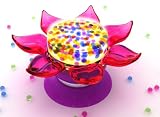 Flower Power Light Show