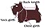 Fitwarm Sweetie Bows Soft Denim Pet Dog Dress Shirts Clothes Vest Apparel, Medium