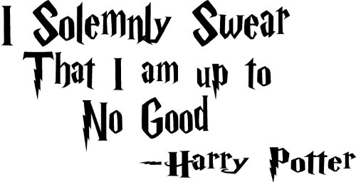 I solemnly swear that I am