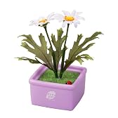 花っぱ マーガレット(白)