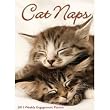 Cat Naps 2011 Engagement Calendar/Diary