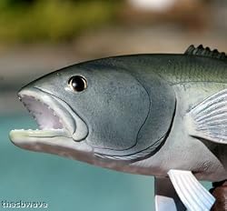 Taxidermy 19" Fiberglass Bluefish Statue