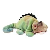 Ty Beanie Babies Rainbow the Ty Dye Chameleon tags with Iggy 411pasIHreL. SL160 Ty Beanie Babies Rainbow the Ty Dye Chameleon tags with Iggy