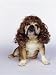Bulldog Wearing Wig and Pearl Necklace Portrait Animals Photographic Poster Print by Aflo, 12x16