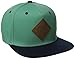 neff Men's All Day 2 Snapback Hat