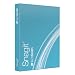 Snagit Version 10