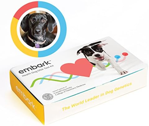 Embark Dog Health Test: Full Genetic Health Screening