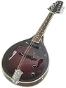 A Style Electric Mandolin