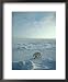 Polar Bear with Stock Market Quotes Animals Framed Art Poster Print, 18x22