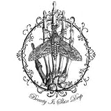 Noxity Beauty is Skin Deep Gothic Tee