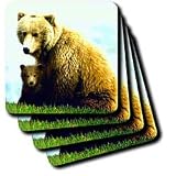 Review 3dRose LLC  / Brown Bear - Set Of 8 Ceramic Tile Coasters