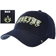 Sublime - Navy Leaf Fitted Baseball Cap