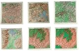 Topographic Map Bandana