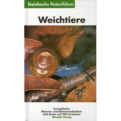 Steinbachs Naturf�hrer - Weichtiere - Europ�ische Meeres- und Binnenmollusken