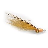Doc Hall's Tailing Shrimp / Doc Hall's Tailing Shrimp