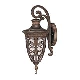 Nuvo Lighting Aston Medium Outdoor Wall Mount