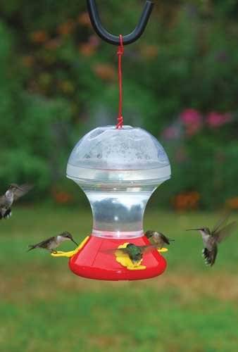 52 oz Hummingbird Feeder or Hang