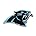 Carolina Panthers