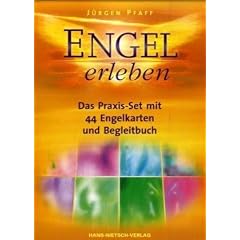 Engel erleben: Das Praxis-Set mit 44 Engelkarten und Begleitbuch
