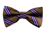 100% Silk Woven Mocha and Purple Striped Self-Tie Bow Tie