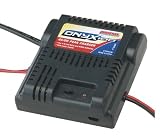 Onyx 100 AC/DC Peak Charger NiCd NiMH