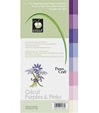 6 X 12 Cardstock Pad 32/Sheets-Purples & Pinks