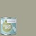 Inspired Eggshell Interior Colorspot Paint Sample, Nourish .03,  8-oz