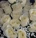 Silk Rose Flowers w/Raindrops Wedding Flowers, Ivory, Set of 84